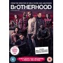 Brotherhood (solo disco) DVD USATO